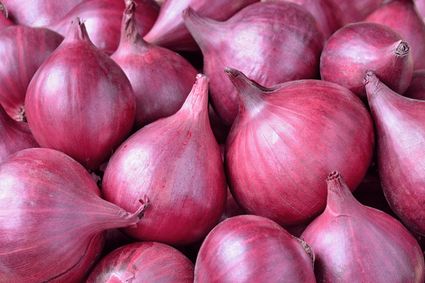 Red onion import from india