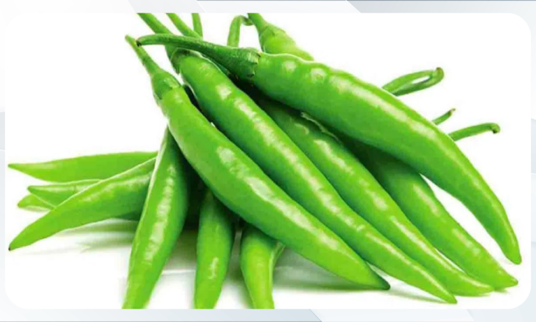 Green Chili import from india